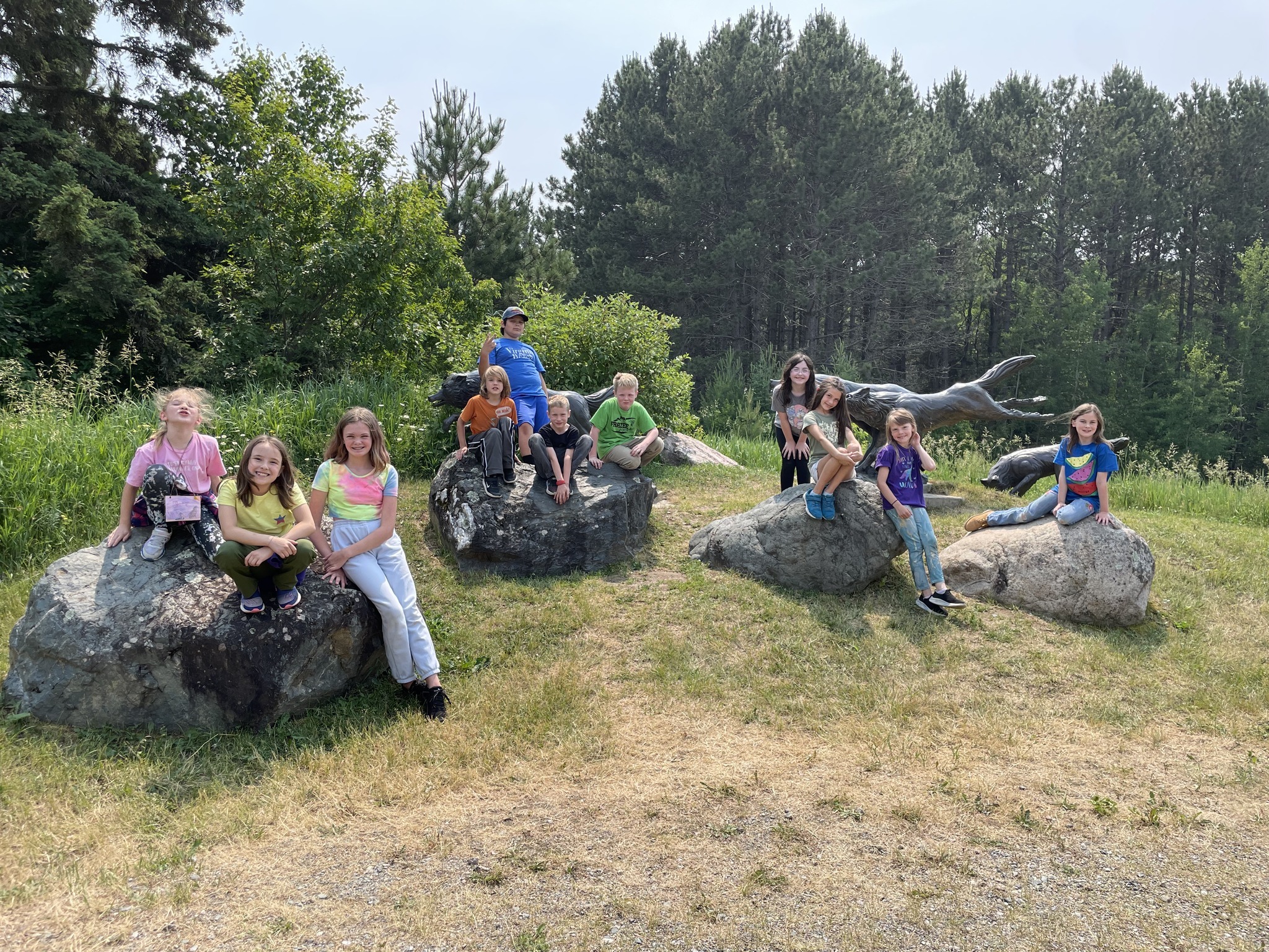 Junior Wolf Biologist Mini-Camp photo 1