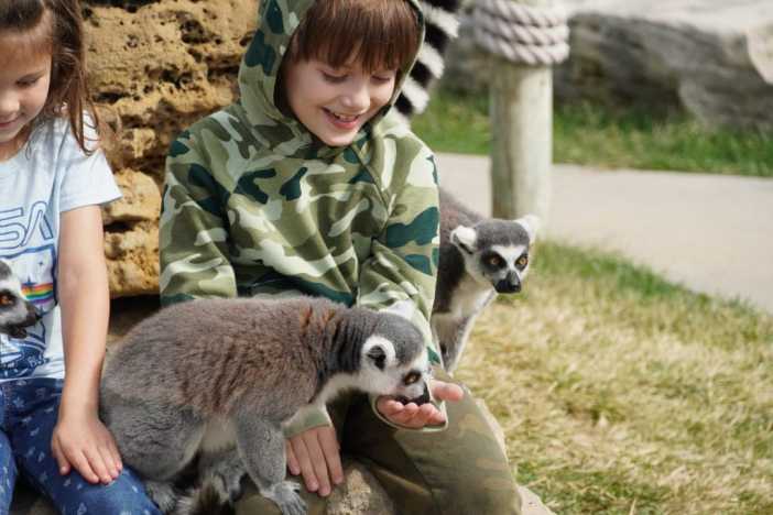 Junior Zookeeper Summer Camp