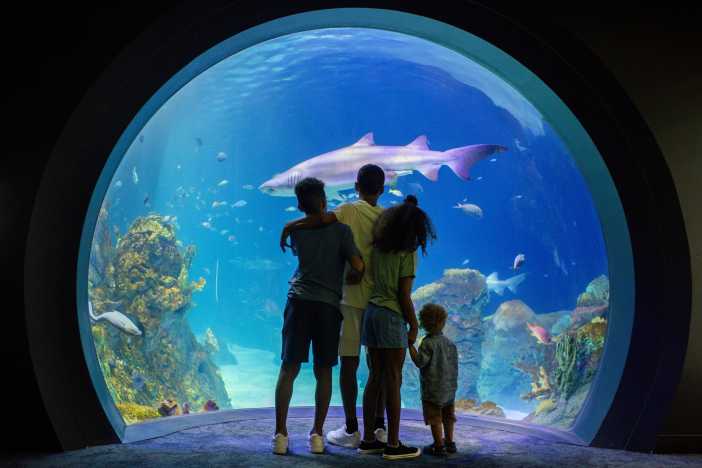 Junior Zoologist Camp