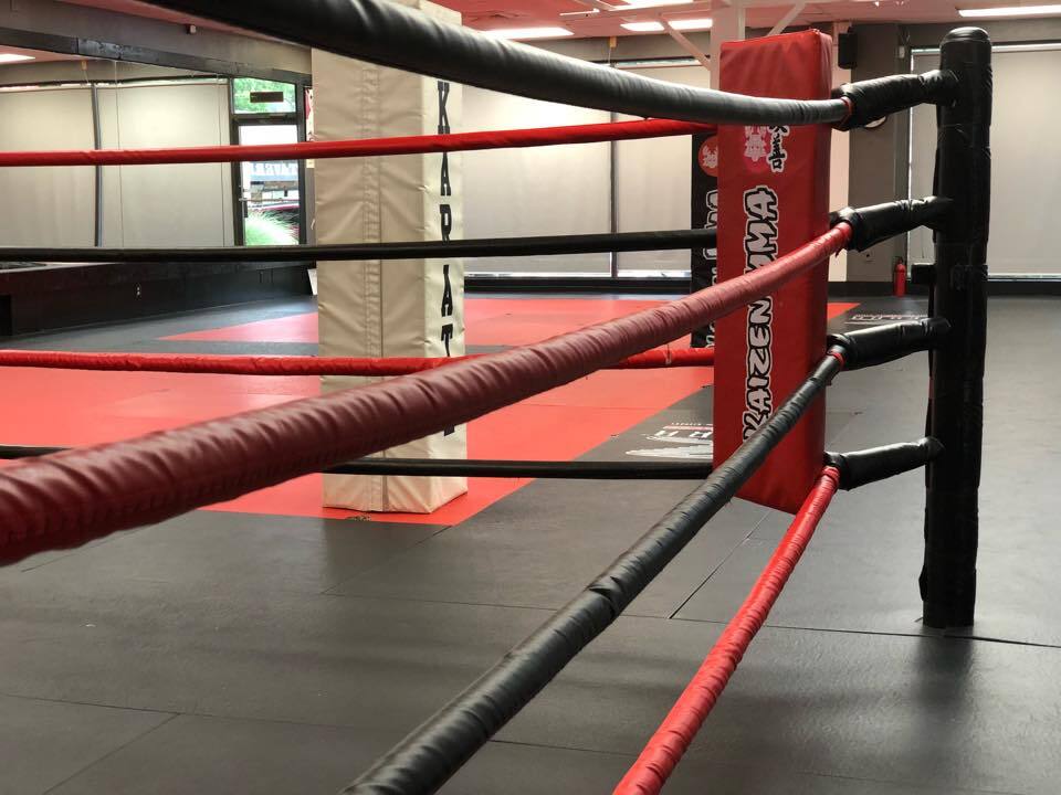 KAIZEN MMA Summer Camp Falls Church фото 1