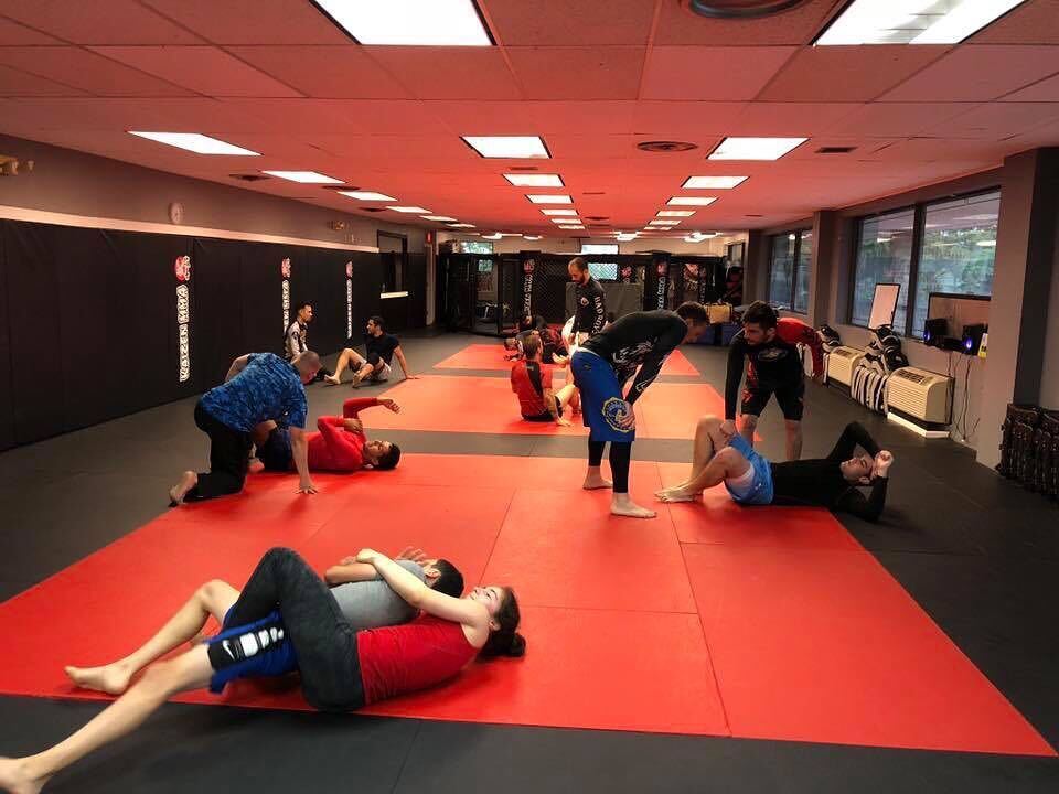 KAIZEN MMA Summer Camp Vienna photo 1