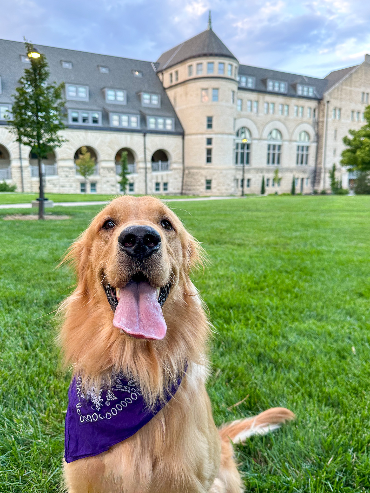 Lovewell Institute For The Creative Arts Kansas Workshops And Programs фото 1