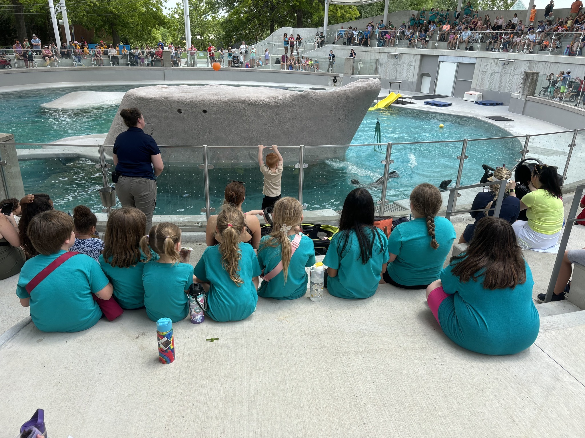 KC Zoo Sunshine Camp photo 1