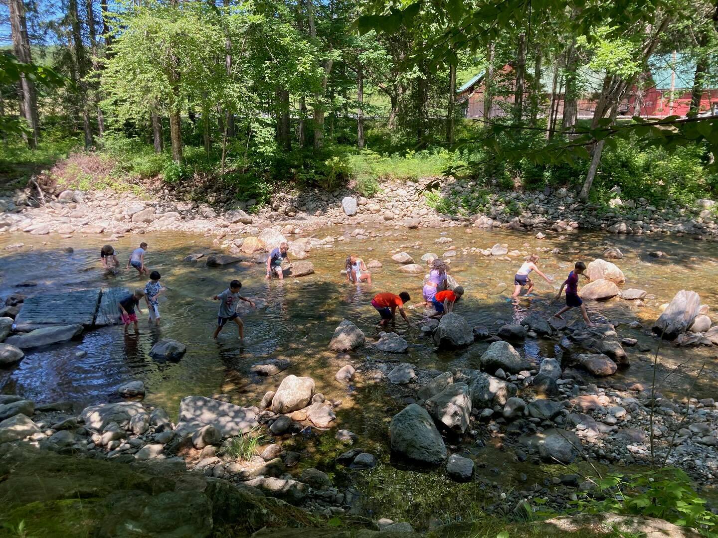Farm And Wilderness Summer Camps фото 1