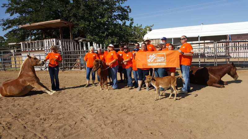 Kingmans Healing Hooves Horsemanship Camp