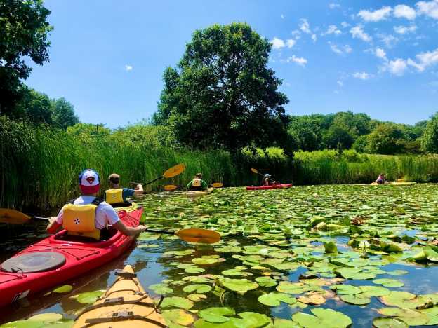 Lake County Forest Preserves Summer Camps