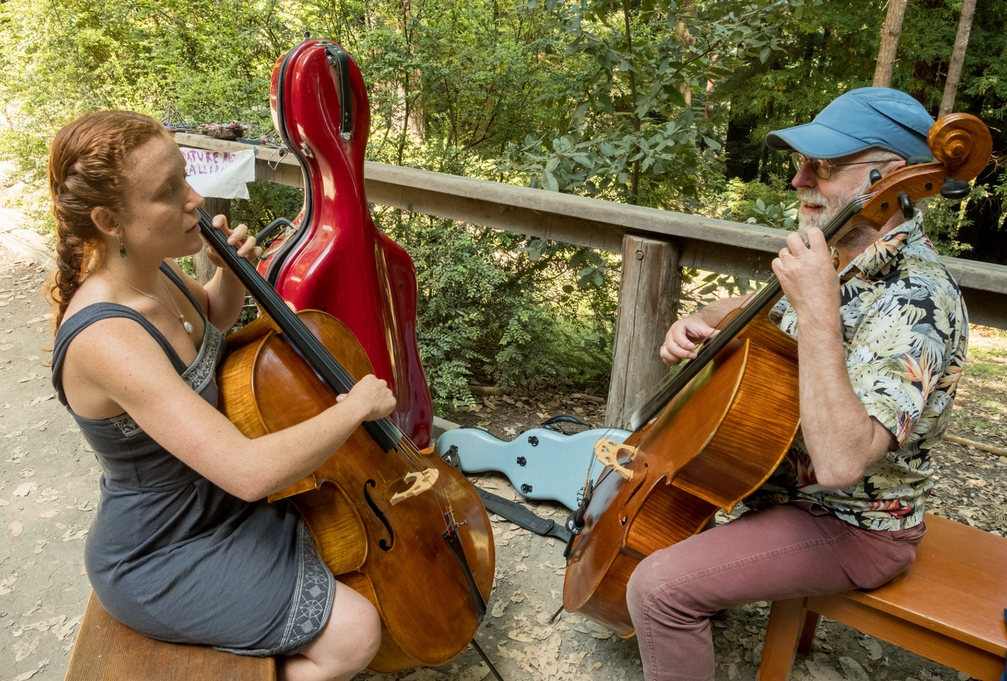 Lark Camp World Music фото 1