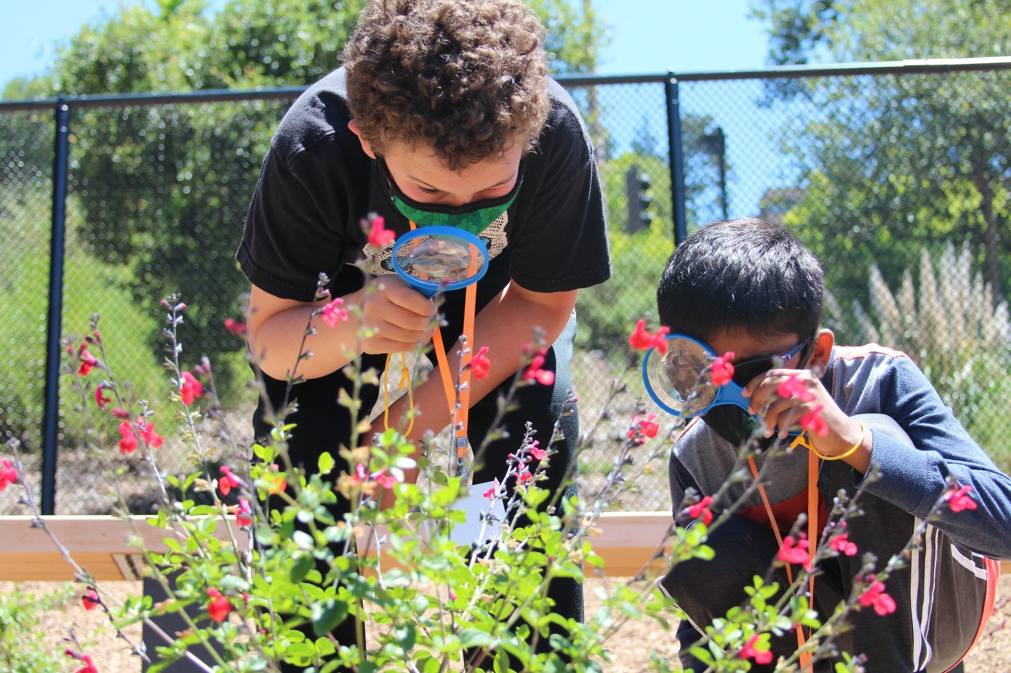 Lawrence Hall Of Science Day Camps