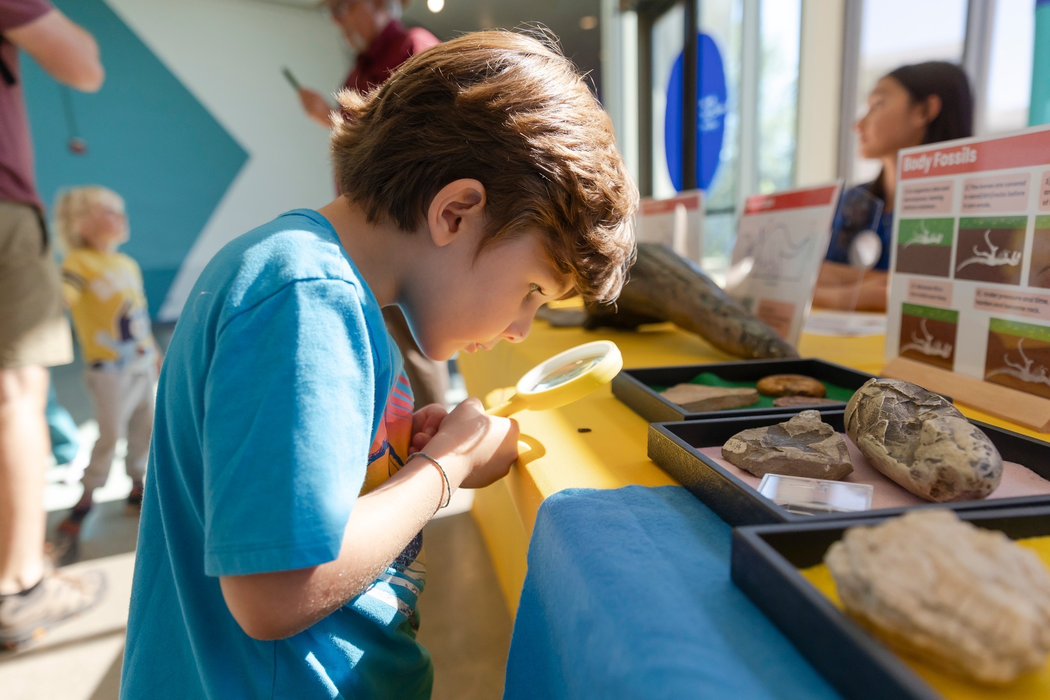 Katherine Michiels School фото 1