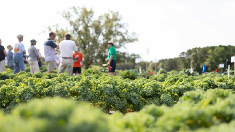 Legare Farms Summer Camp