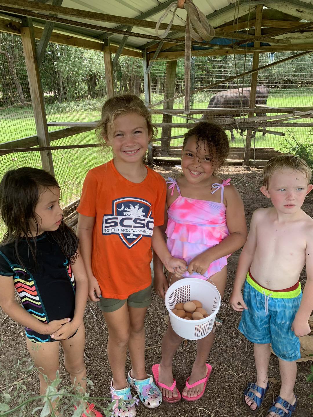 Legare Farms Summer Camp photo 1