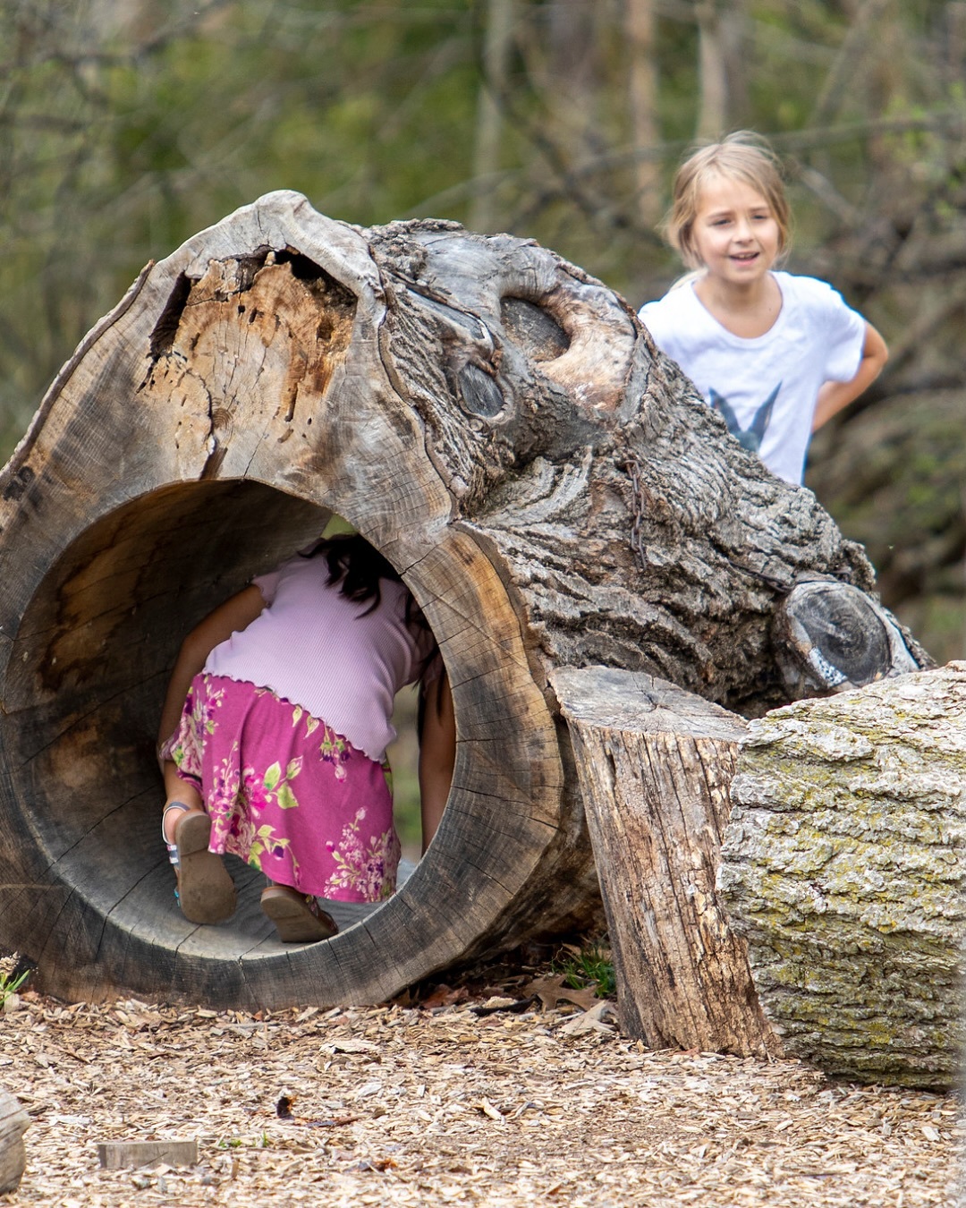 Simpson Park Camp фото 1