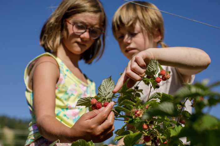 Little PEAS Summer Camps