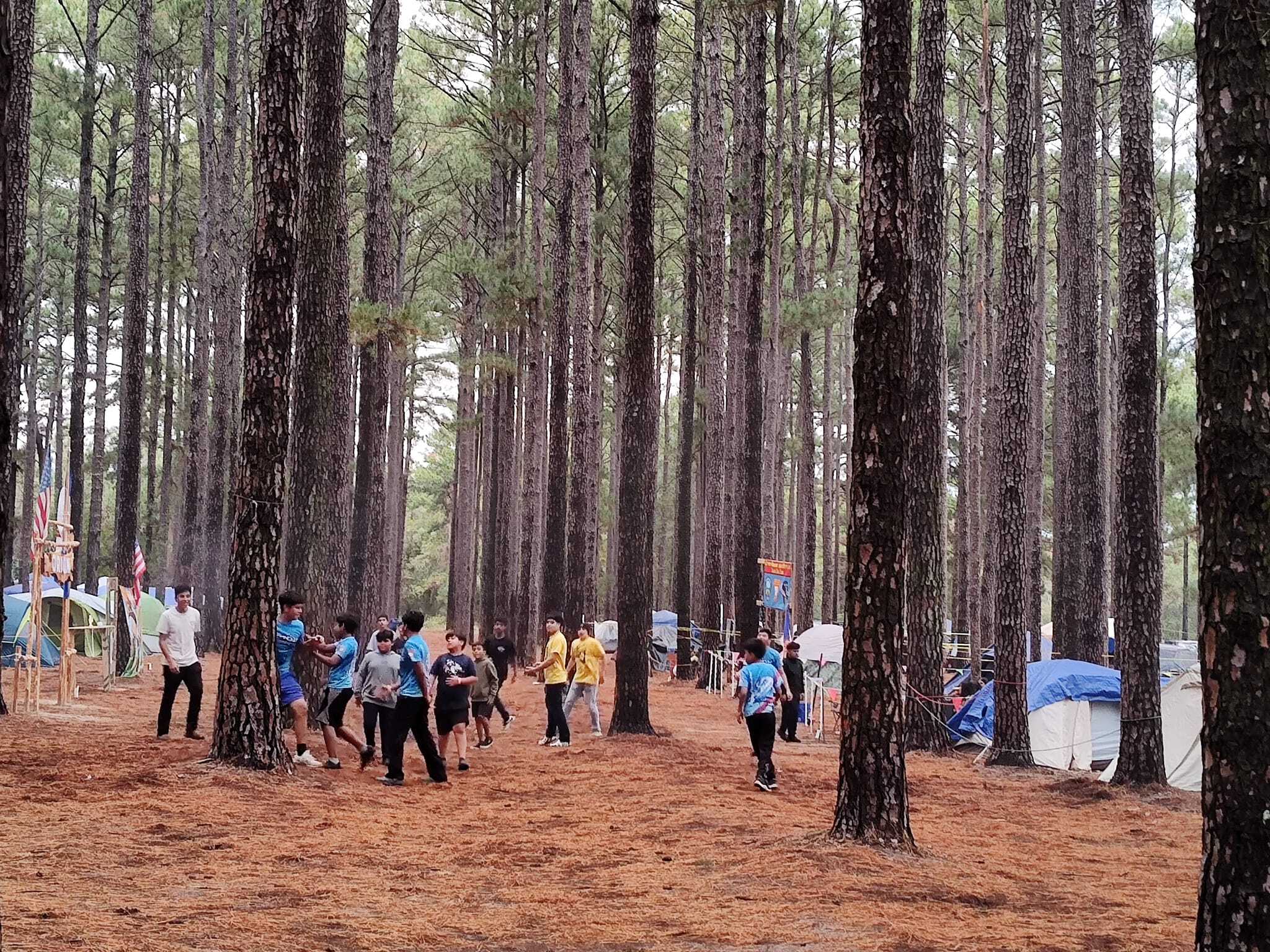 Earth Native Wilderness School Summer Camps фото 1