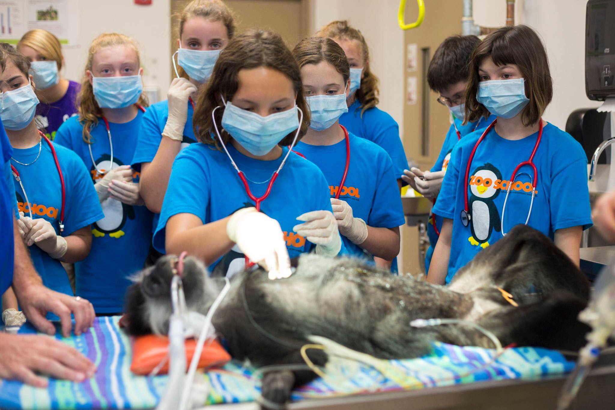 Central Florida Zoo And Botanical Gardens Camp фото 1