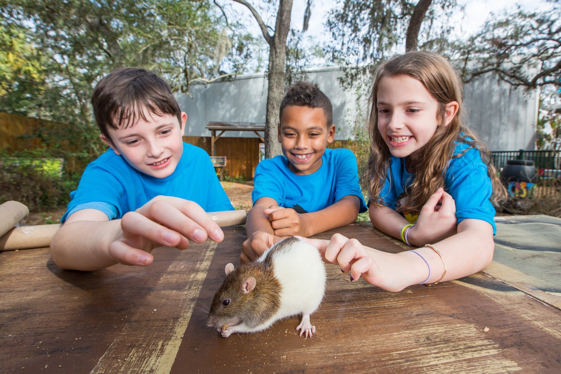 City Of Tampa Parks Camp фото 1