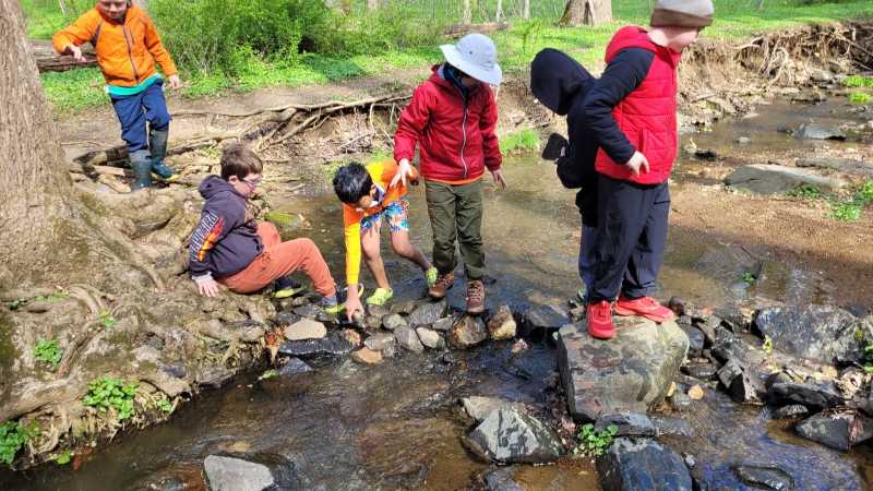 Lure Of The Wild Nature Camp