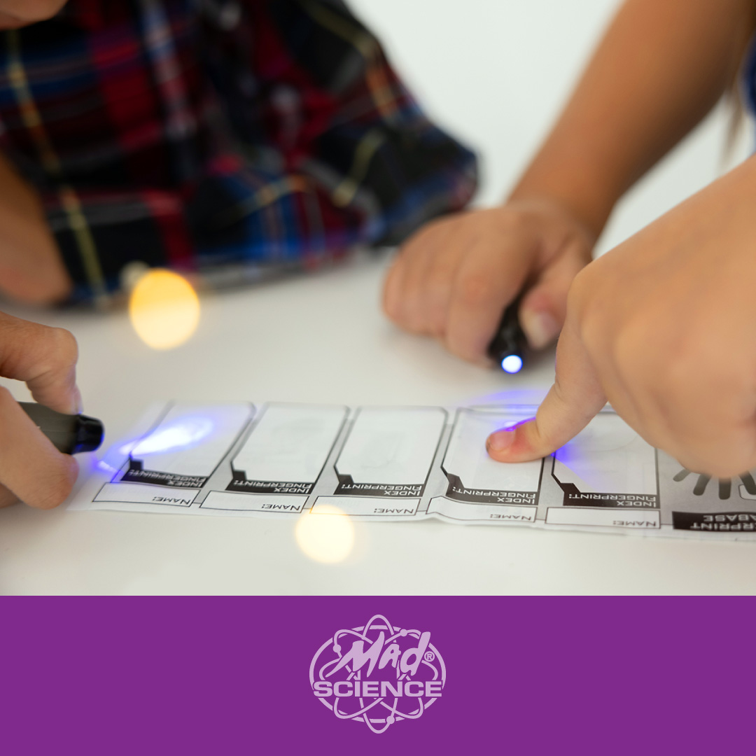 Cactus Day Camp фото 1