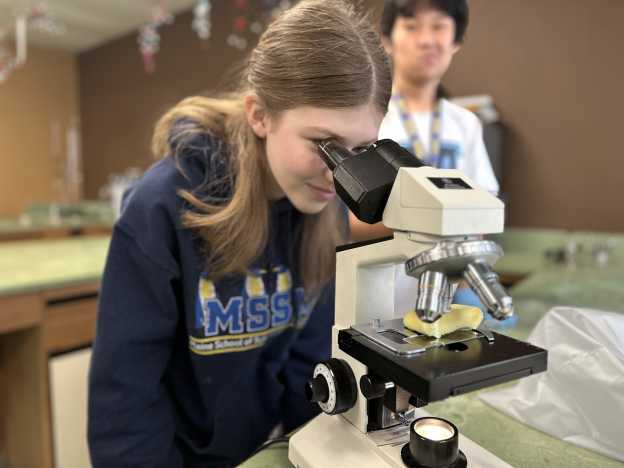 Maine School Of Science And Mathematics