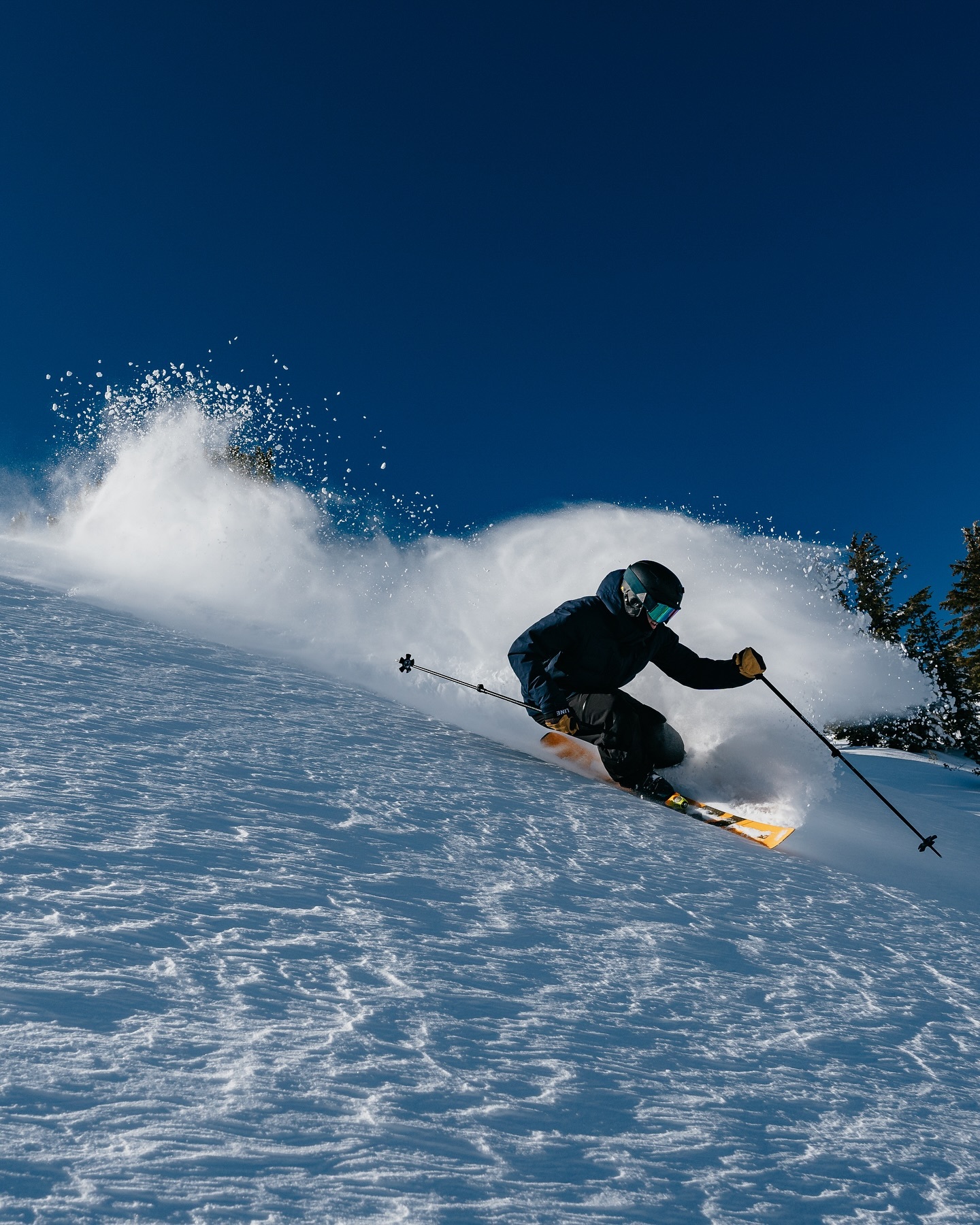 Mammoth Mountain Freestyle Ski And Snowboard Camps photo 1