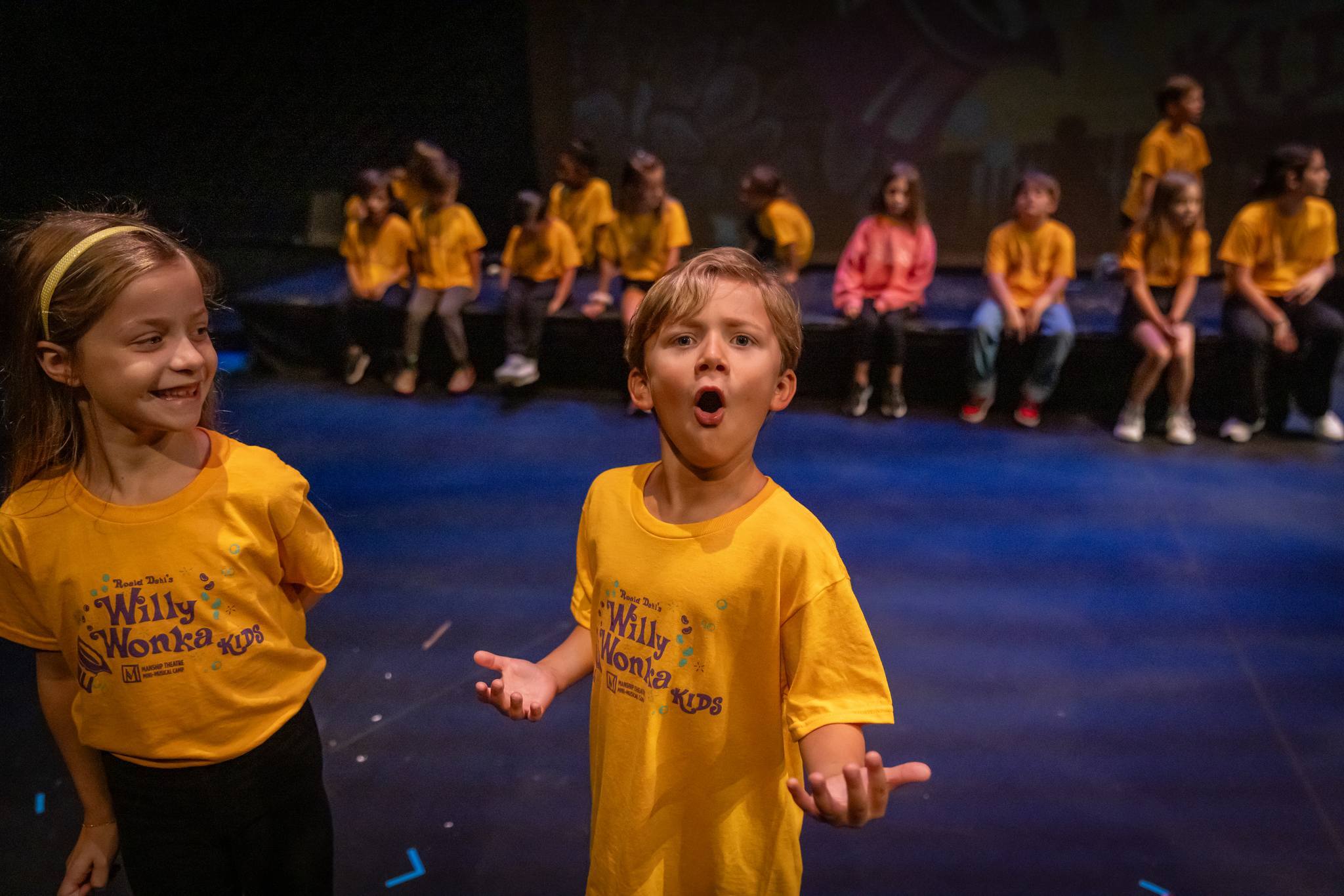 Manship Theatre Summer Theatre Camps photo 1