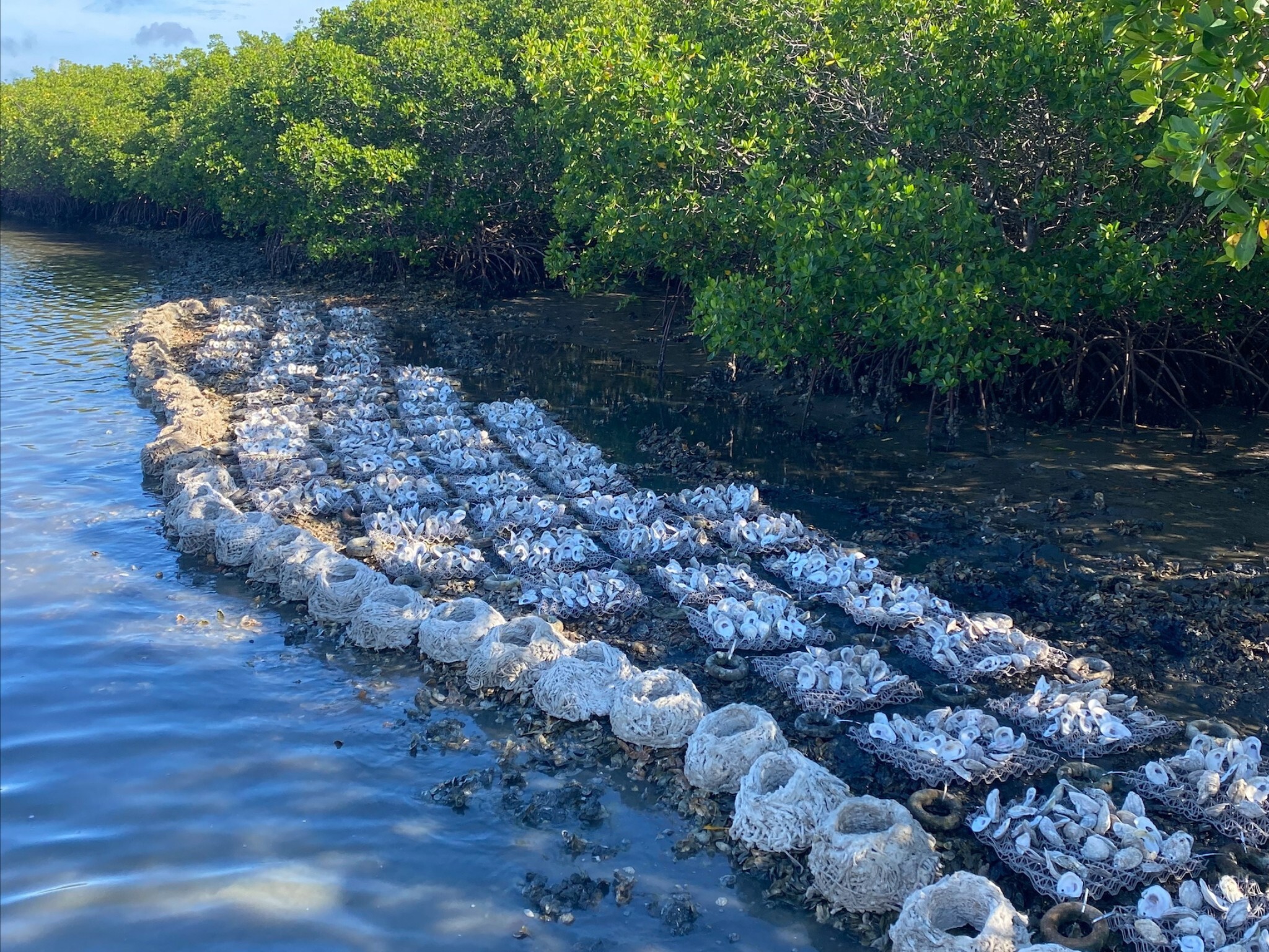 Camp Adventure Inc фото 1