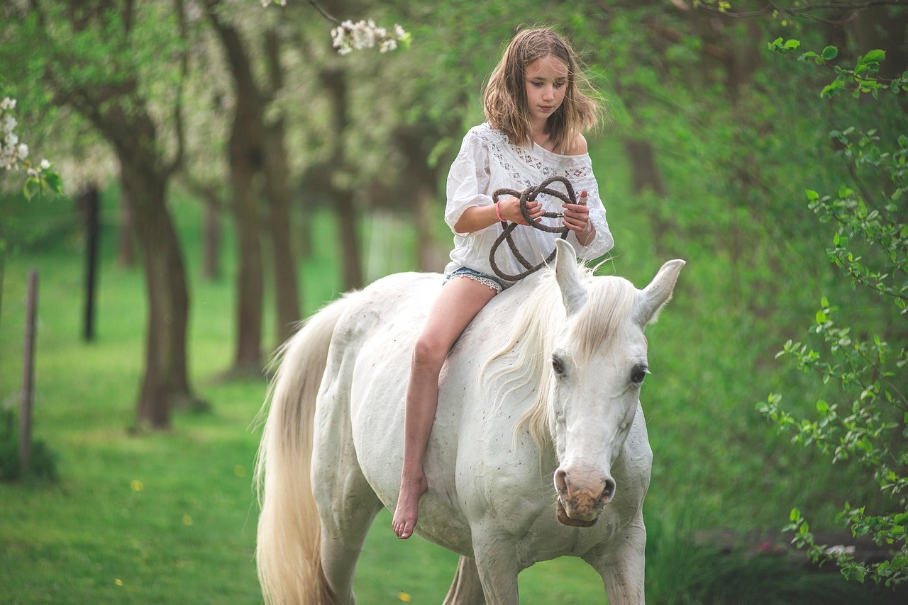 Mark West Stables Summer Horse Camps
