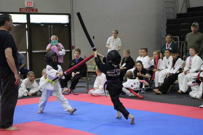 Martial Arts Institute - North Martial Arts Summer Camp