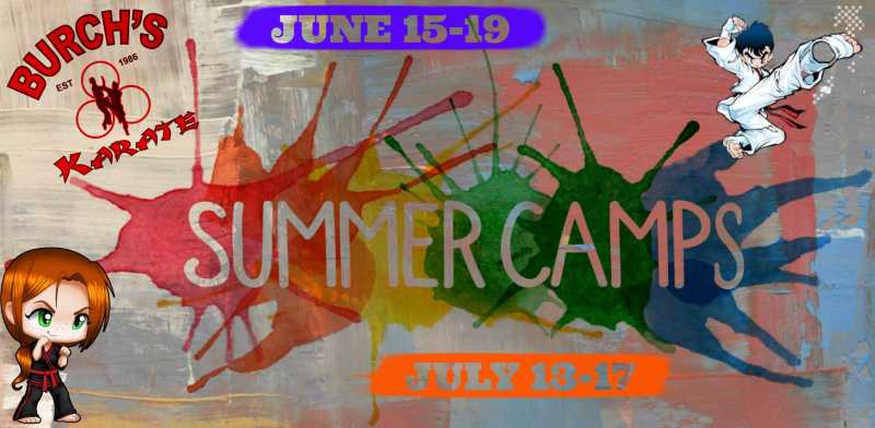 Martial Arts Summer Camp