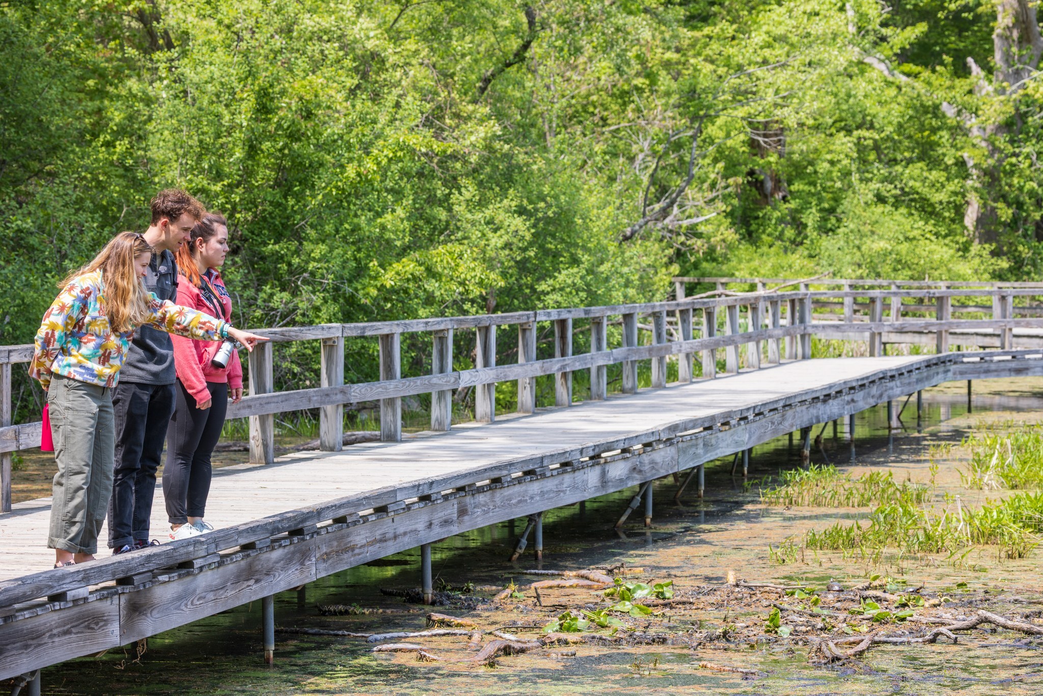Mass Audubons Broadmoor Nature Camp photo 1