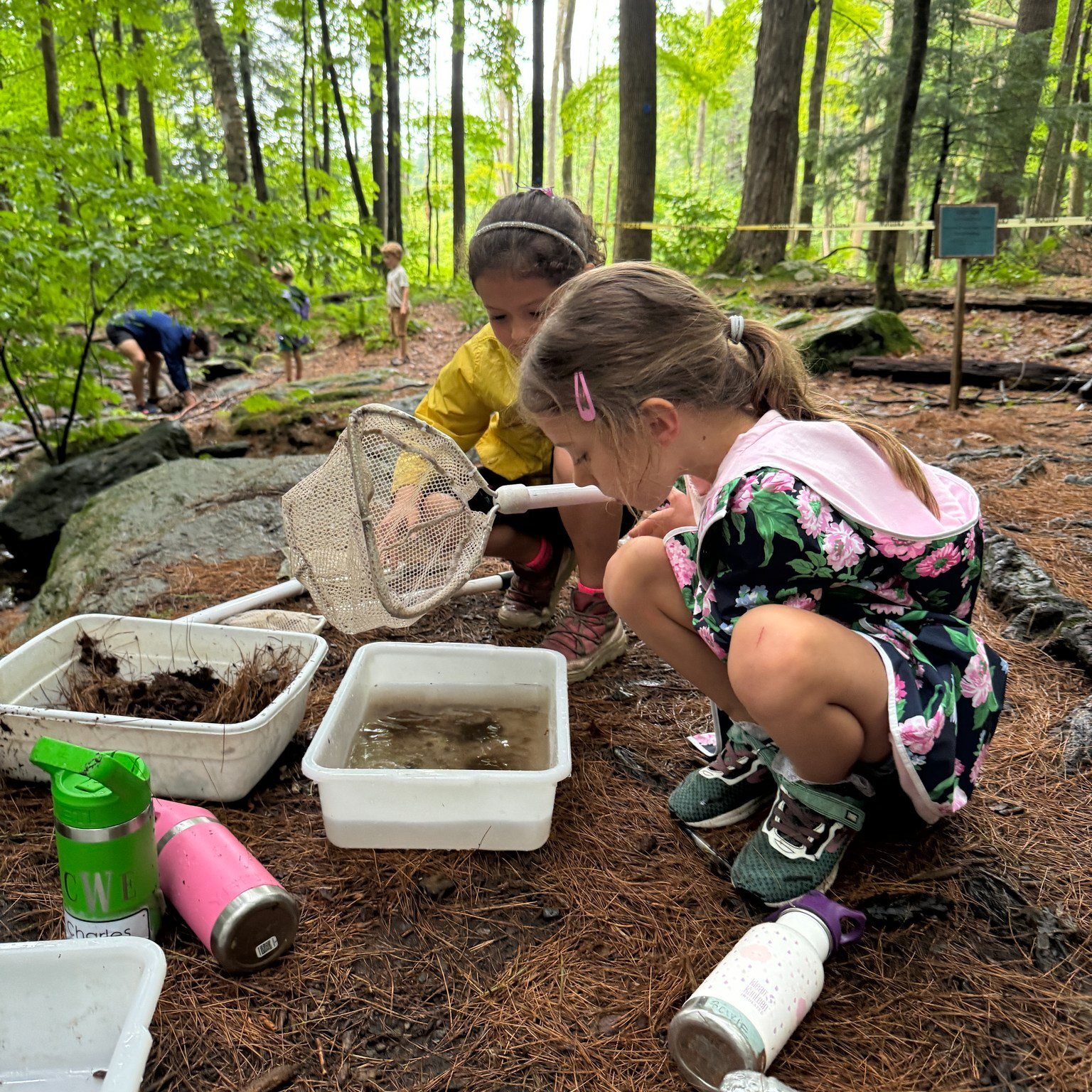 Mass Audubons Berkshire Nature Camp At Pleasant Valley photo 1