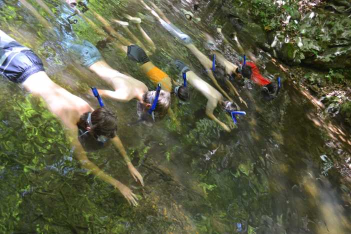 Nature Camp Trail Vesuvius