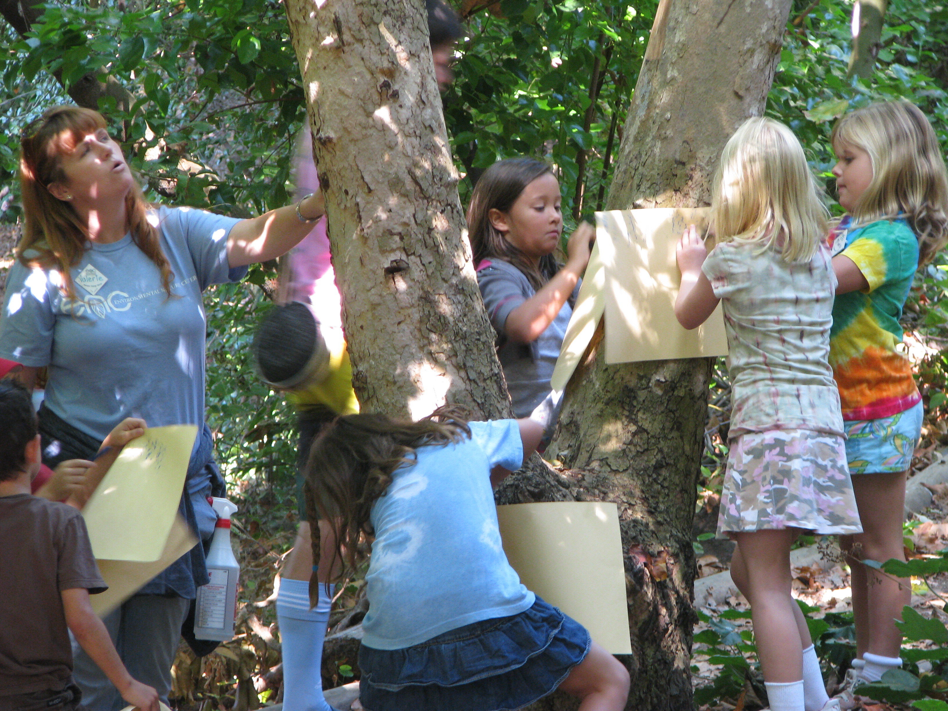 Nature Camp