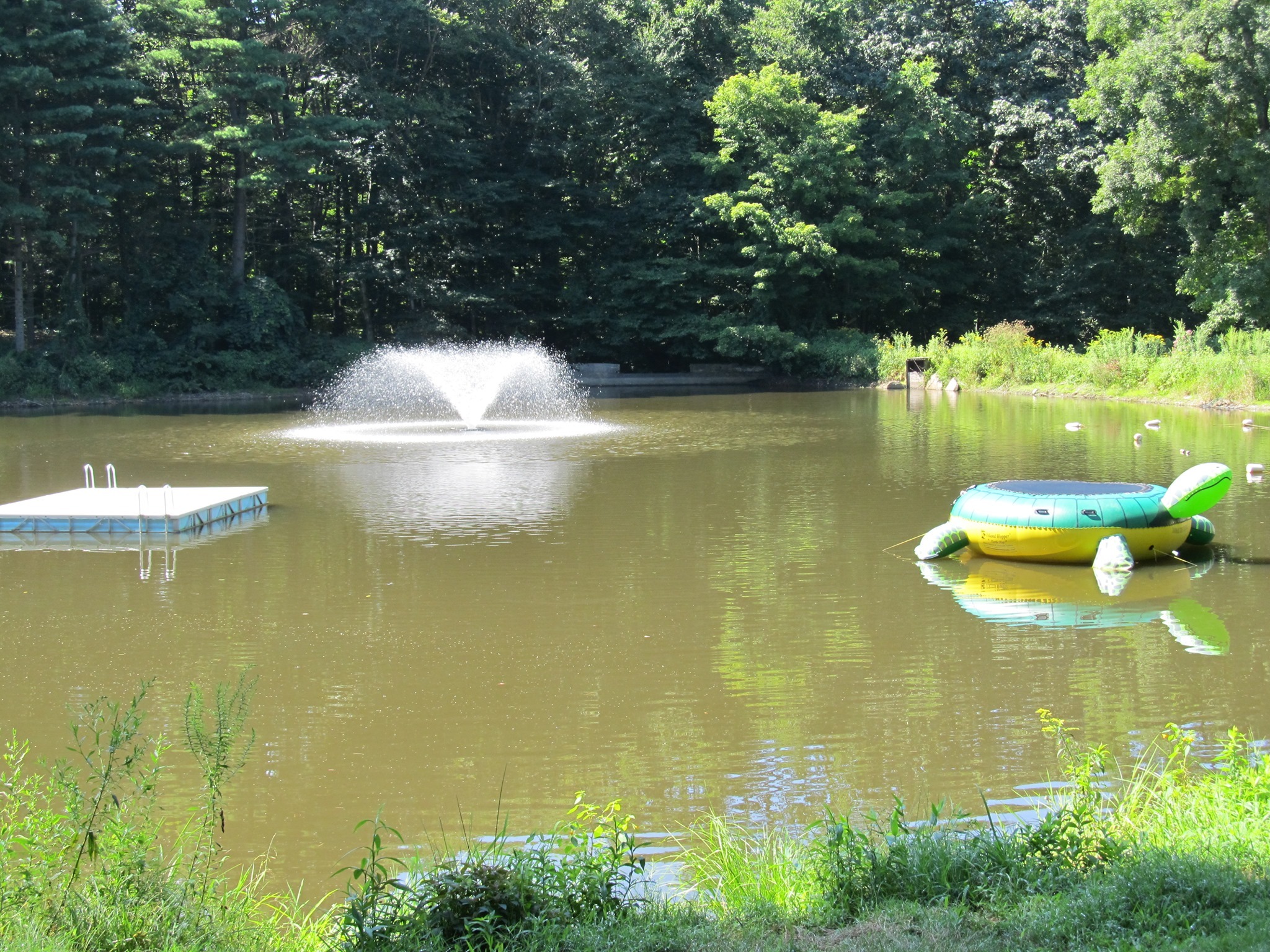 Quinnipiac University Summer Healthcare Career Exploration Academy фото 1