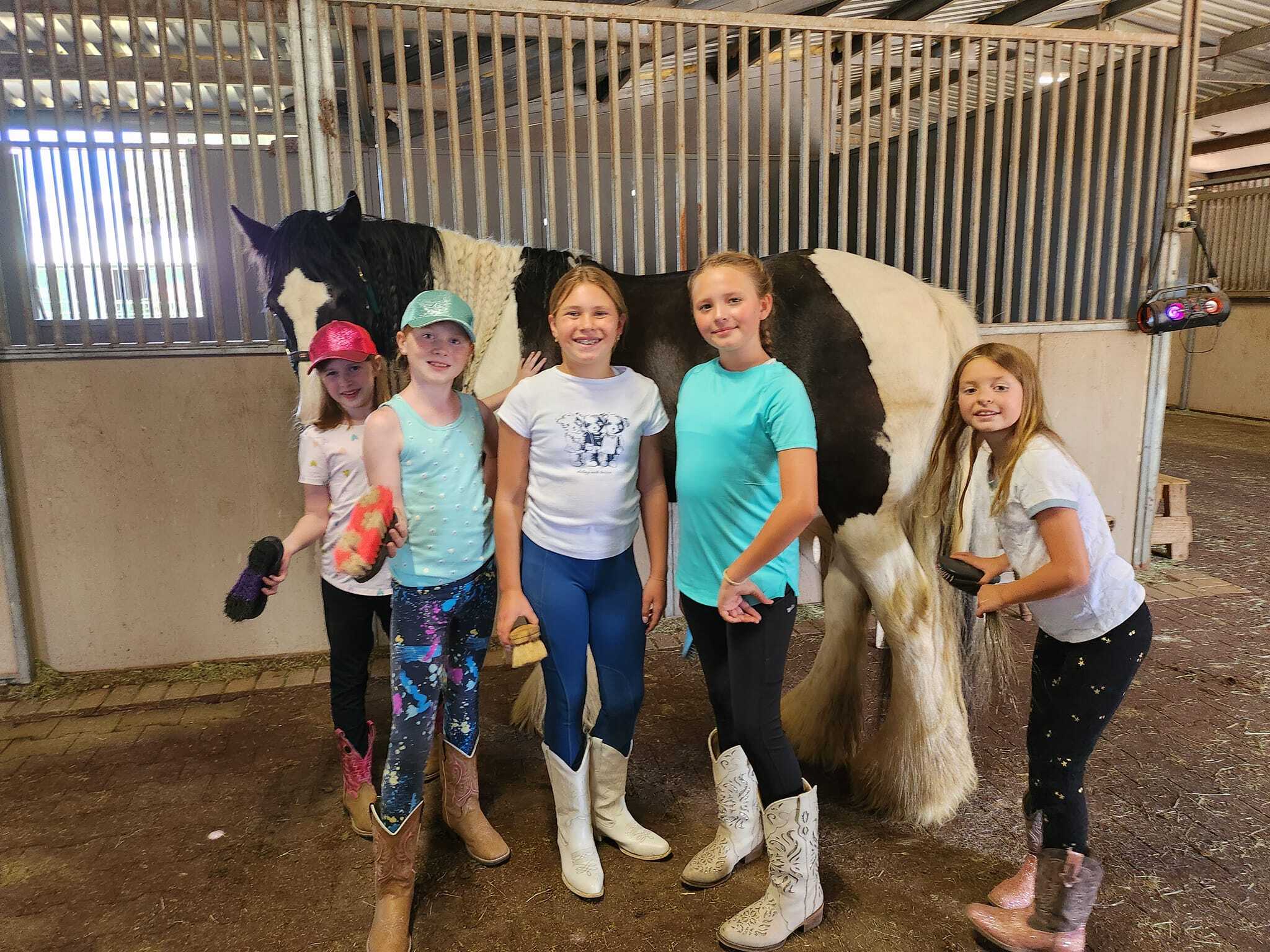 Northern Az Riding Stables Summer Horse Camp photo 1