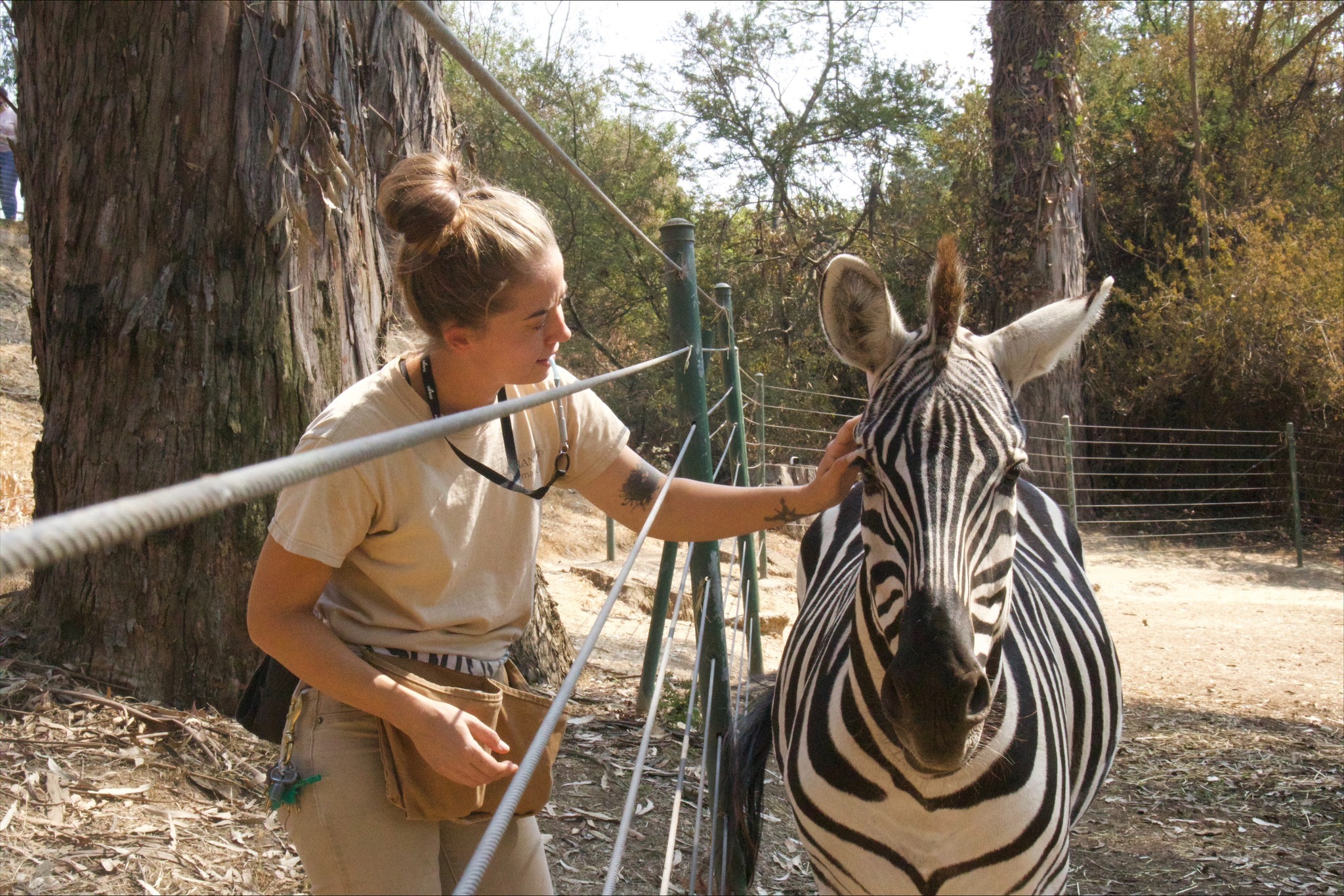 Oakland Zoo Teen Programs ZooCamp Teen Assistants