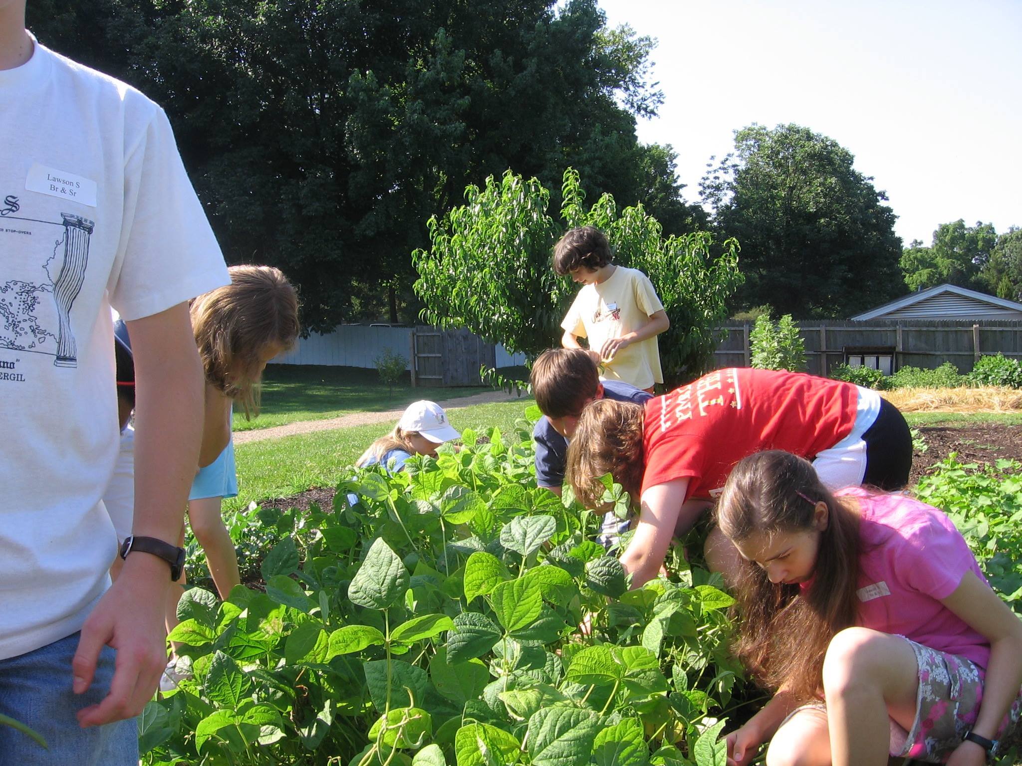 Old Salem Five Yesterdays Summer Camp фото 1
