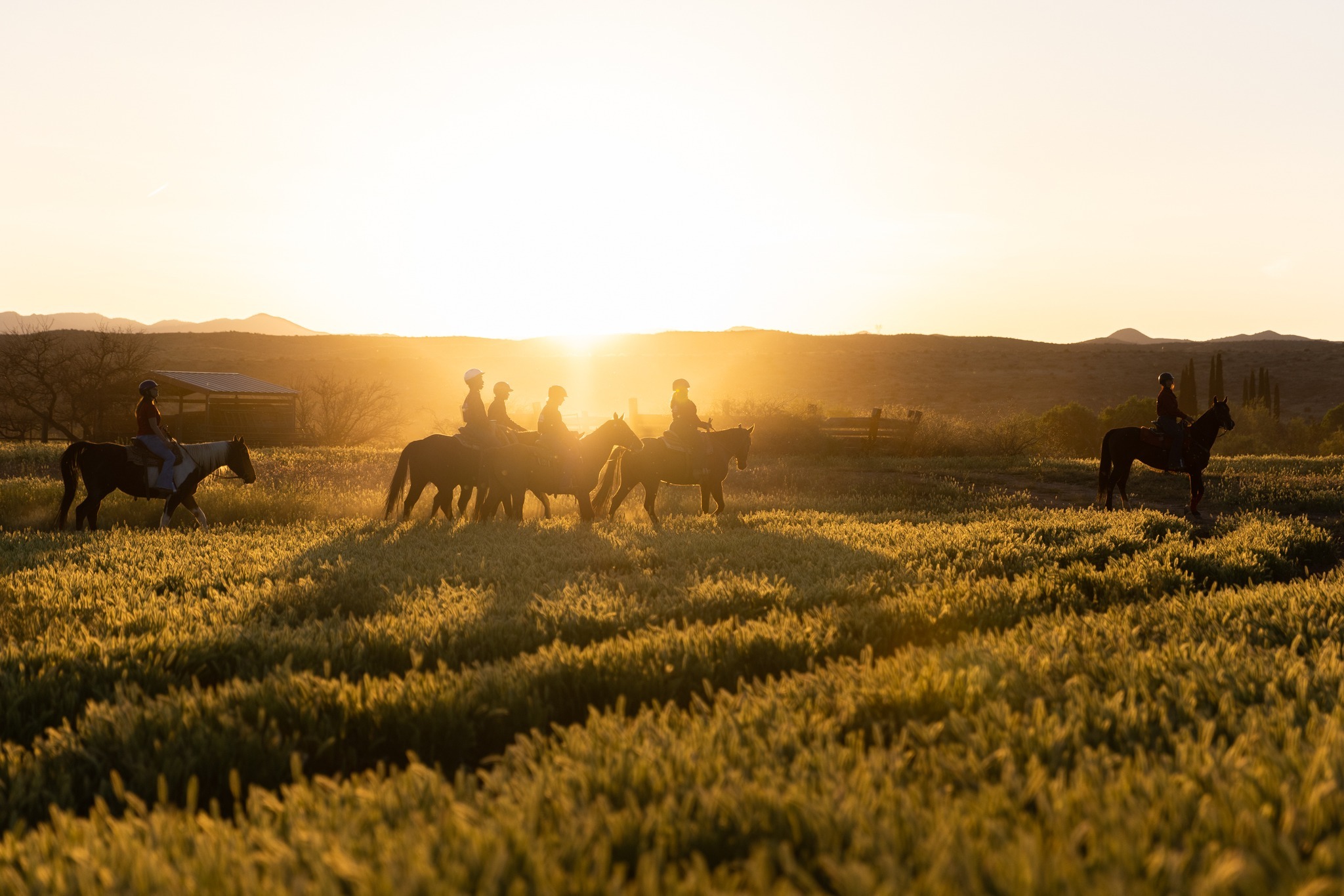 Orme Ranch Camp