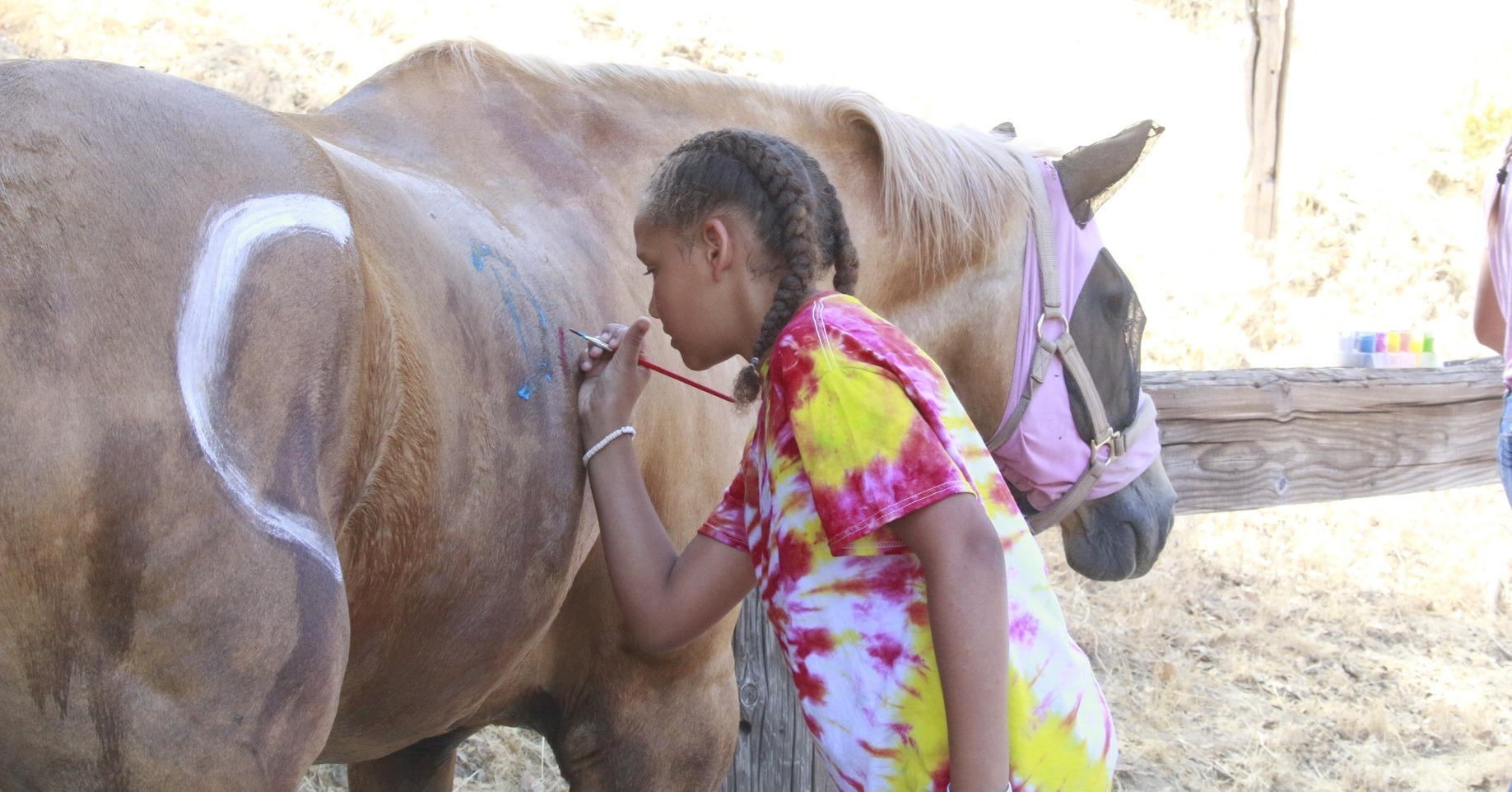 Palomar Horse Camp
