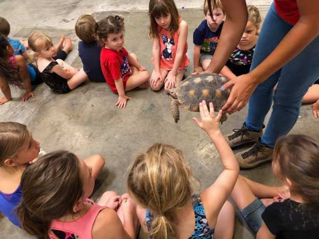 Phoenix Herpetological Sanctuary’s Camp