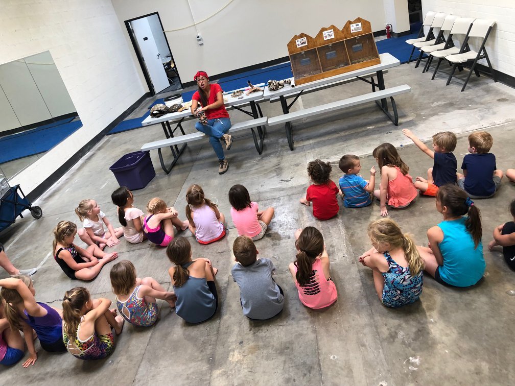 Phoenix Herpetological Sanctuary’s Camp photo 1