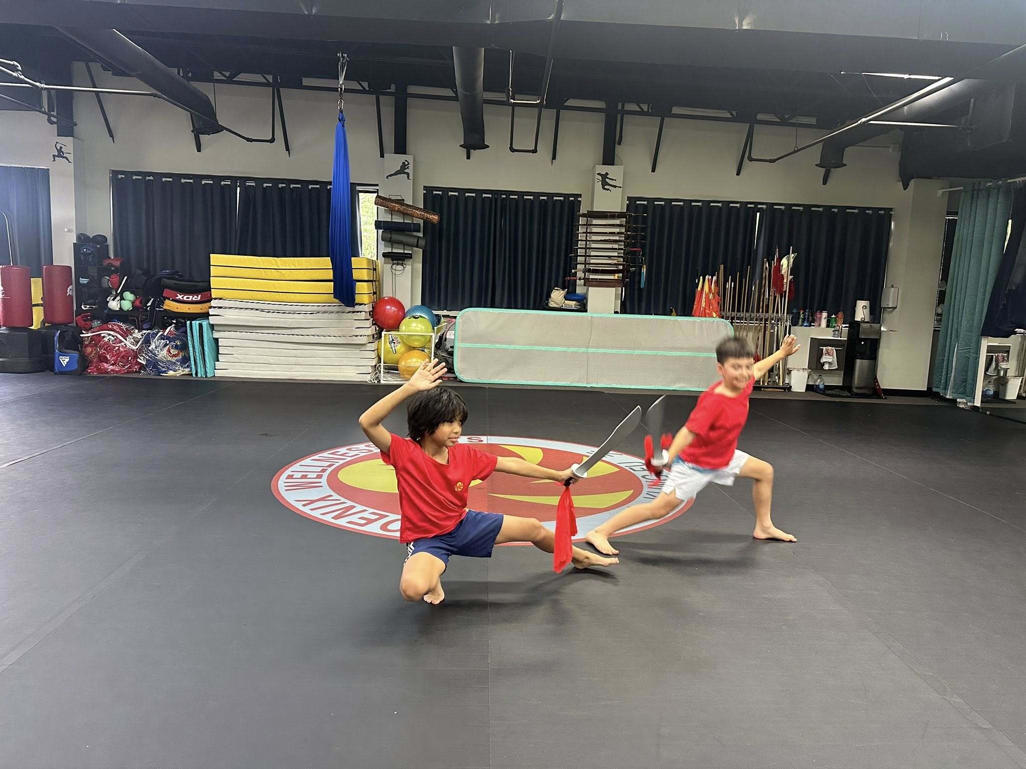 Phoenix Wellness Arts Summer Camp