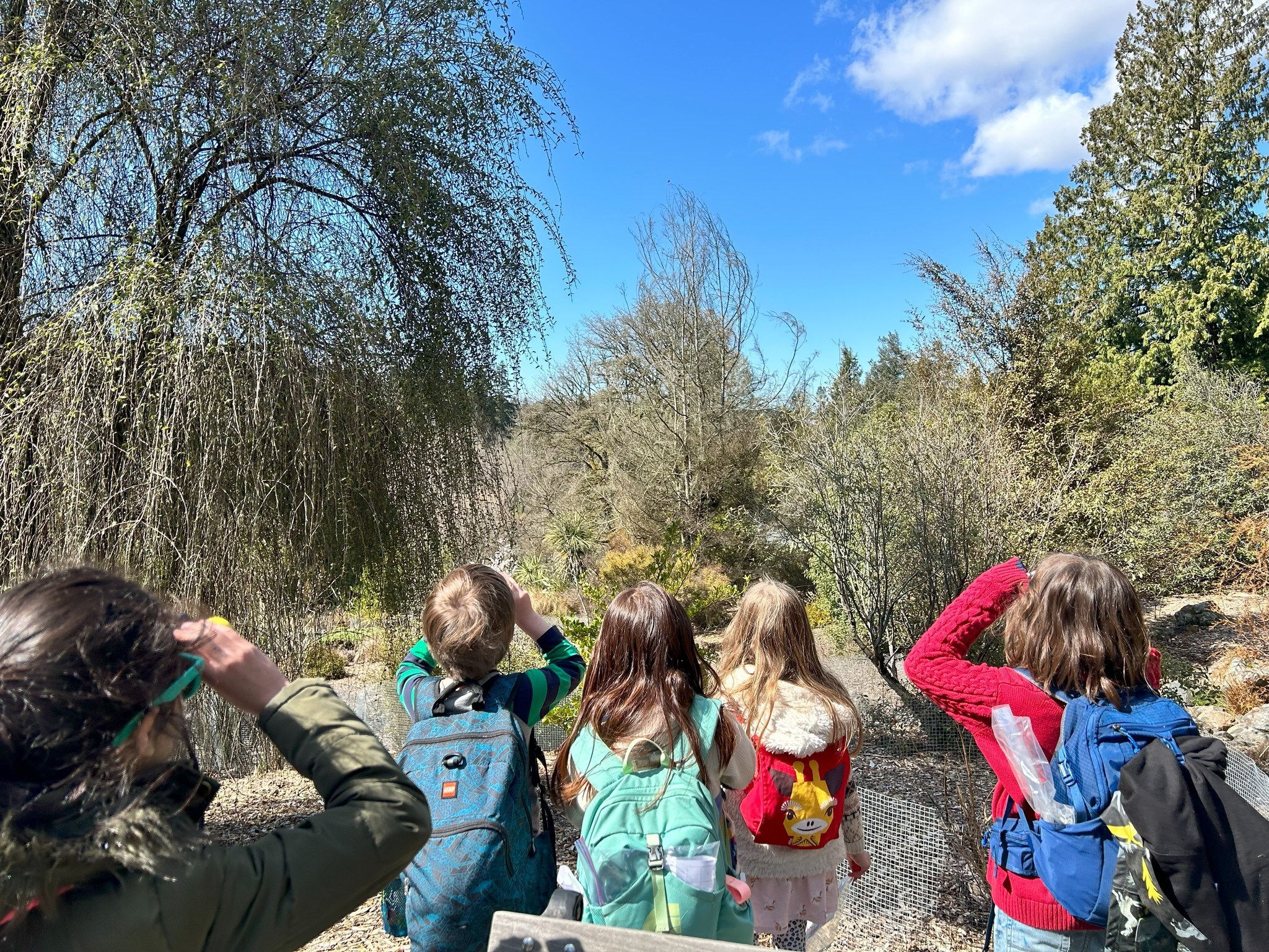 Pinnacle Explorations Outdoor School photo 1