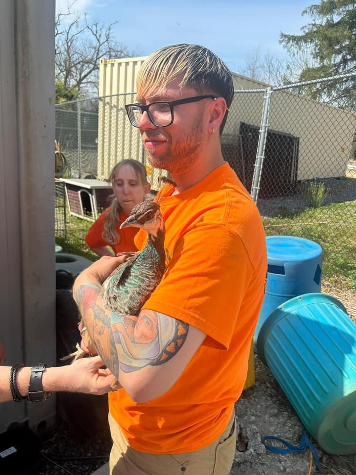 Plumpton Park Zoo Camp фото 1