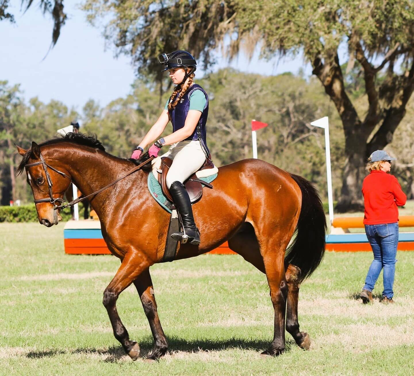 Pony Paddock Camp photo 1