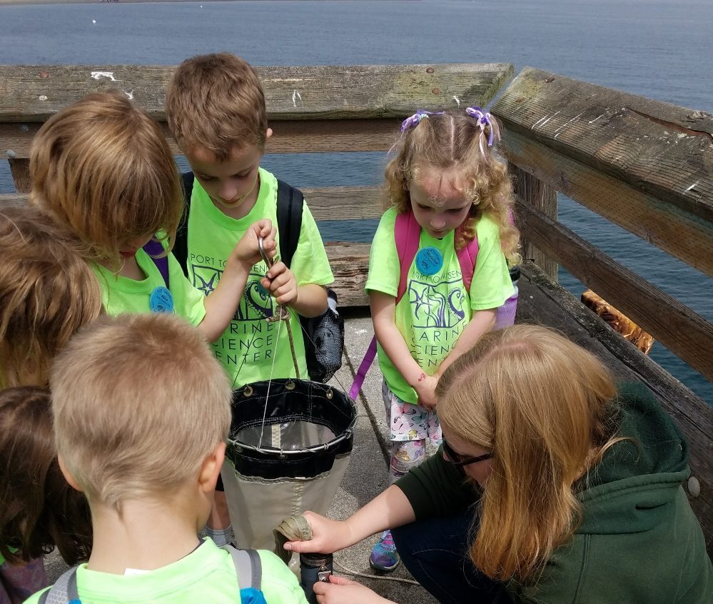 KidsQuest Childrens Museum Summer Camps фото 1