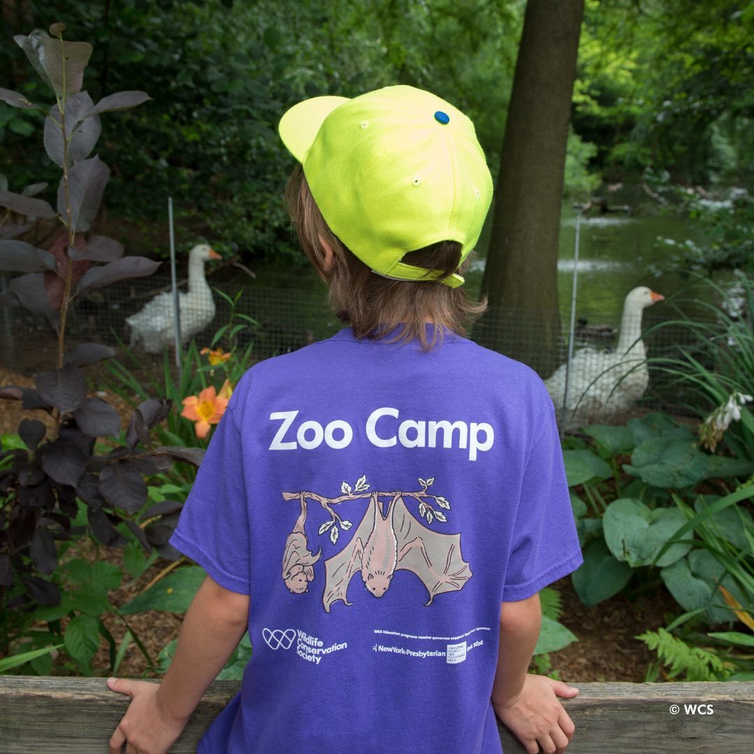 Prospect Park Zoo Camp photo 1
