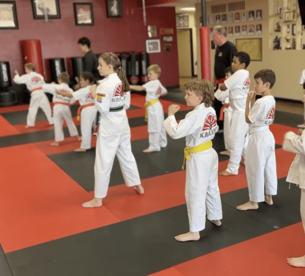 PV Karate Summer Camp photo 1