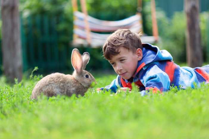 Rainbow Ridge Farm Summer Day Camp