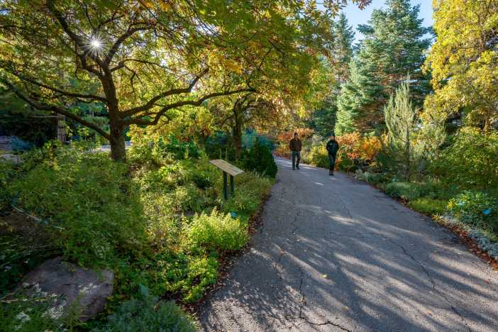 Red Butte Garden Summer Camp